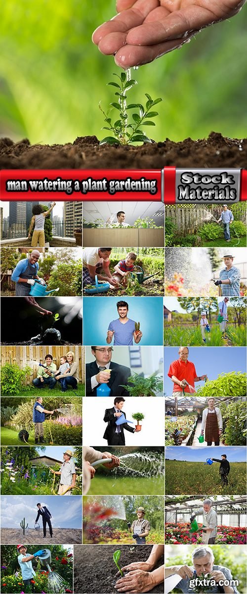 man watering a plant gardening sprout a germ 25 HQ Jpeg