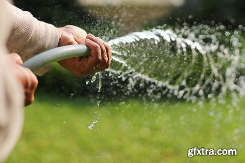 man watering a plant gardening sprout a germ 25 HQ Jpeg