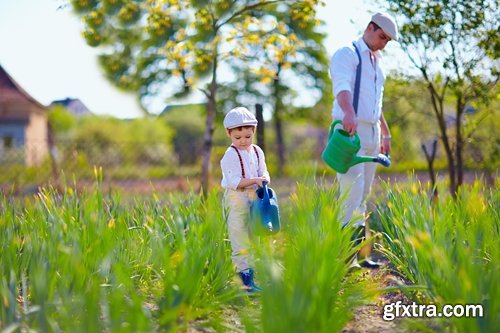 man watering a plant gardening sprout a germ 25 HQ Jpeg