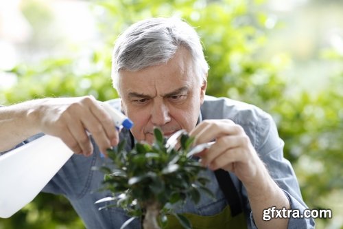 man watering a plant gardening sprout a germ 25 HQ Jpeg