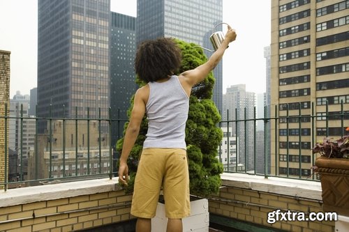 man watering a plant gardening sprout a germ 25 HQ Jpeg