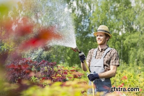 man watering a plant gardening sprout a germ 25 HQ Jpeg