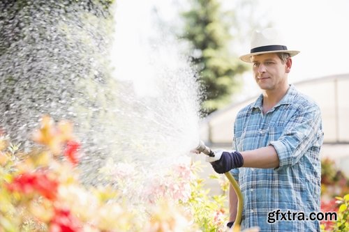 man watering a plant gardening sprout a germ 25 HQ Jpeg