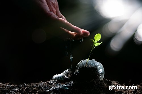 man watering a plant gardening sprout a germ 25 HQ Jpeg