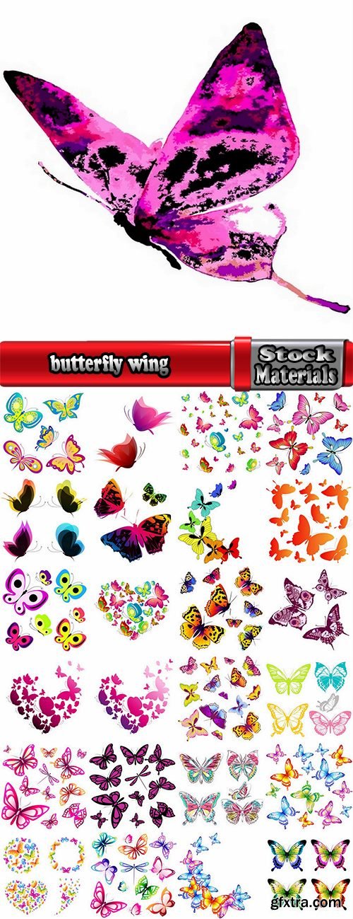 butterfly wing insect vector image 25 EPS