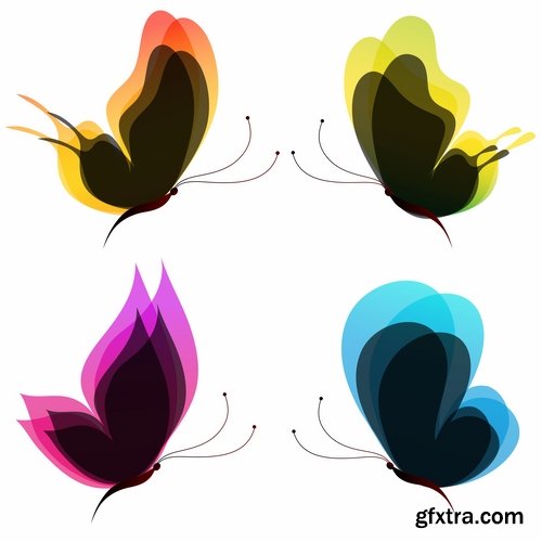 butterfly wing insect vector image 25 EPS