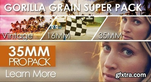 Gorilla Grain 16MM 35MM and Vintage Grain Bundle (Win/Mac)