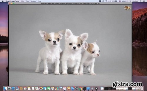 Hot Simple Image Viewer 1.4 (Mac OS X)