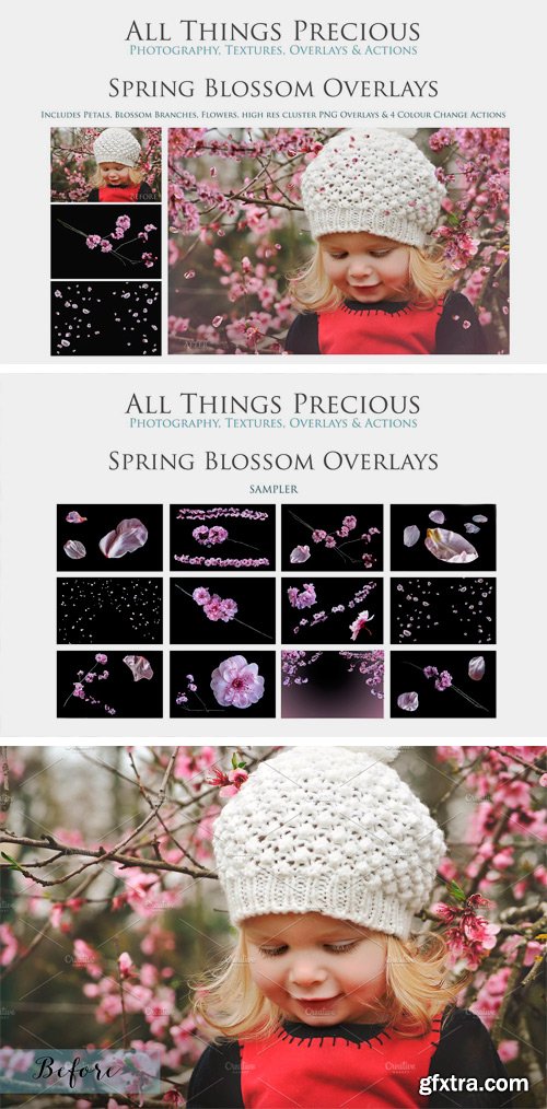 CM - Fine Art Blossom Overlays 1804174