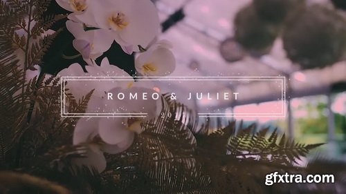 ToleratedCinematics - 5 Classy Wedding Titles