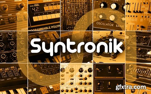 IK Multimedia Syntronik: Sound Content HYBRID-R2R