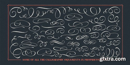 Proprietor Font Family - 7 Fonts