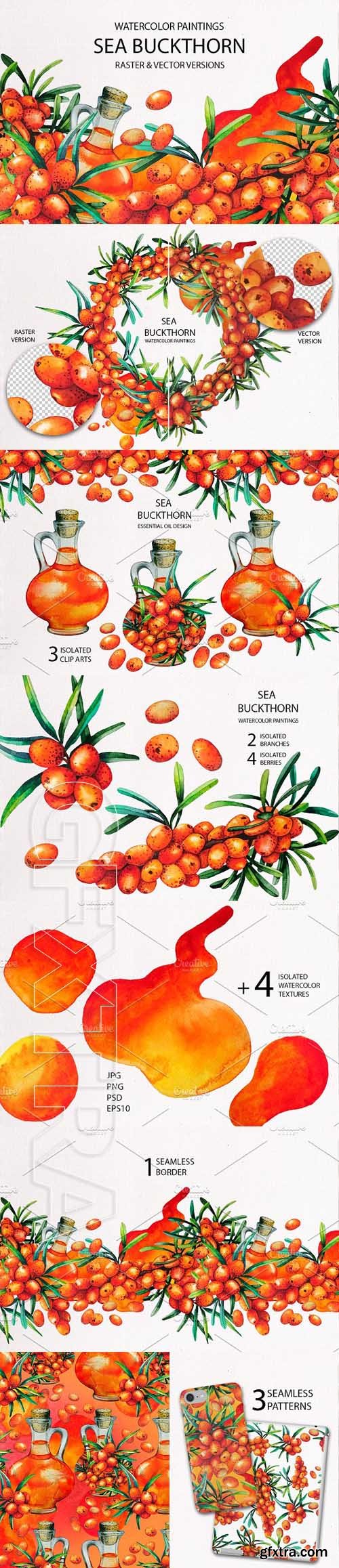 CreativeMarket - Watercolor Sea Buckthorn 1827763