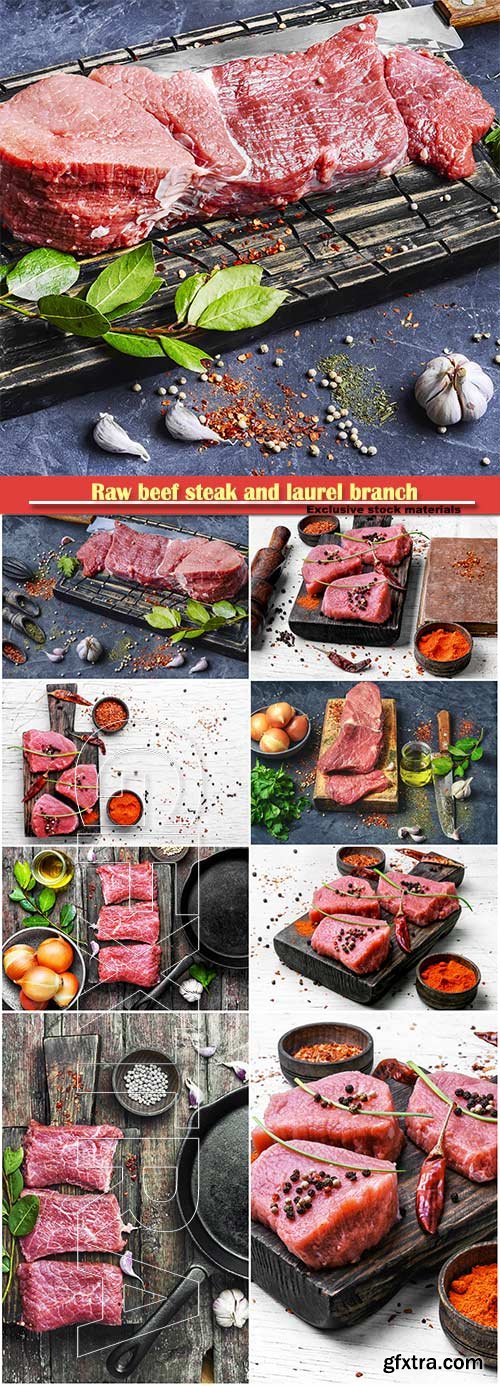 Raw beef steak and laurel branch on vintage background