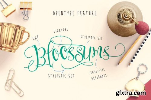 Superb Fonts Bundle of 7 Script & Display Typefaces