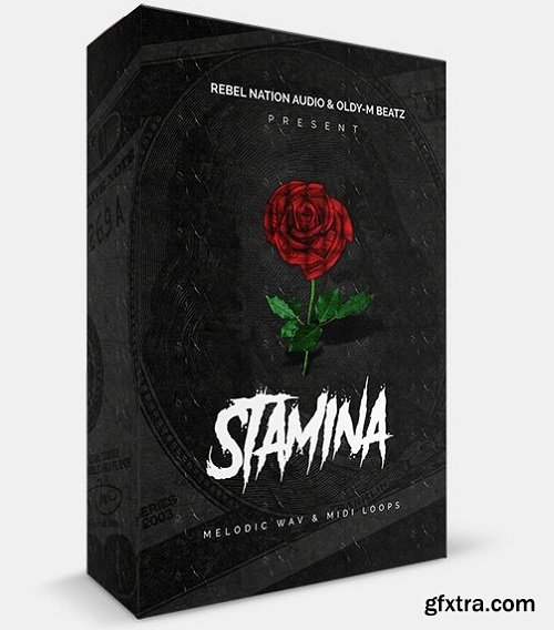 Rebel Nation Audio Stamina WAV MiDi-DISCOVER