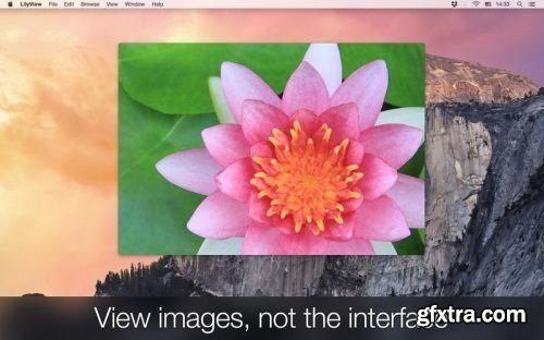 LilyView 1.2 (Mac OS X)