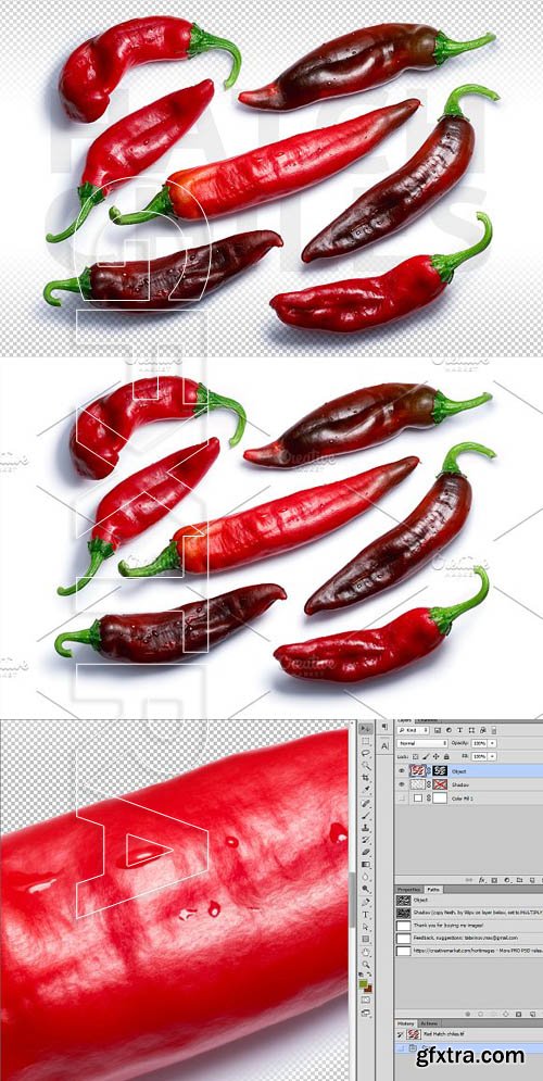 CreativeMarket - Red Hatch Chiles 1861137