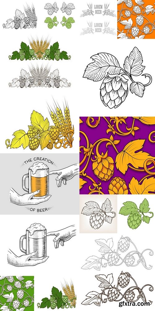 Hops and beer ornament vector illustration