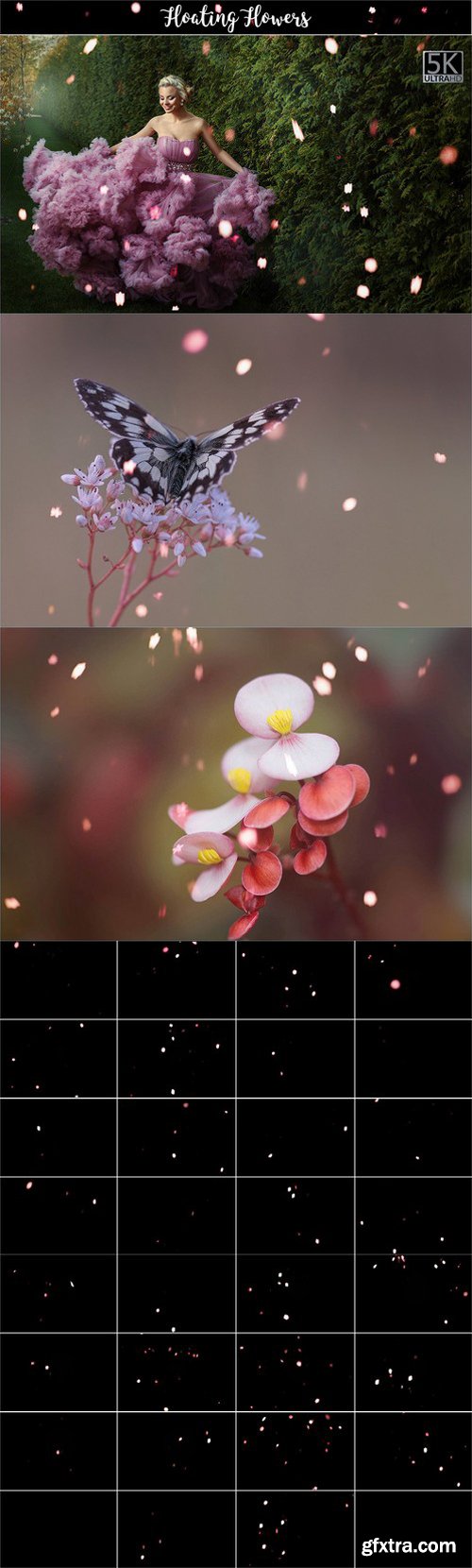 CM - 5K Floating Flowers Overlays 1808876