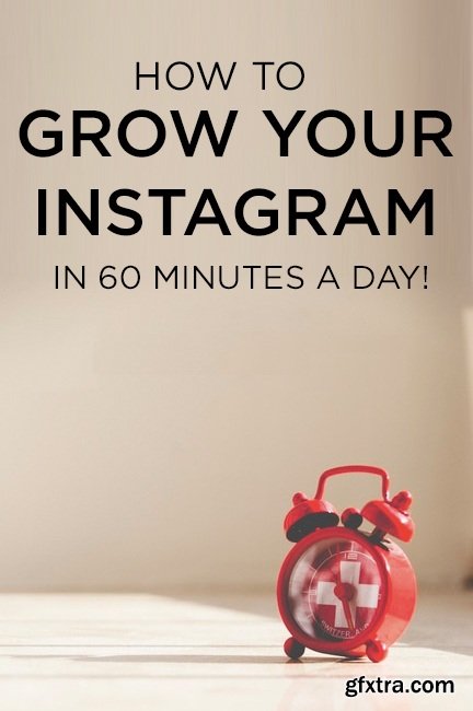 Instagram for Profit: A Step-By-Step to Platform Growth