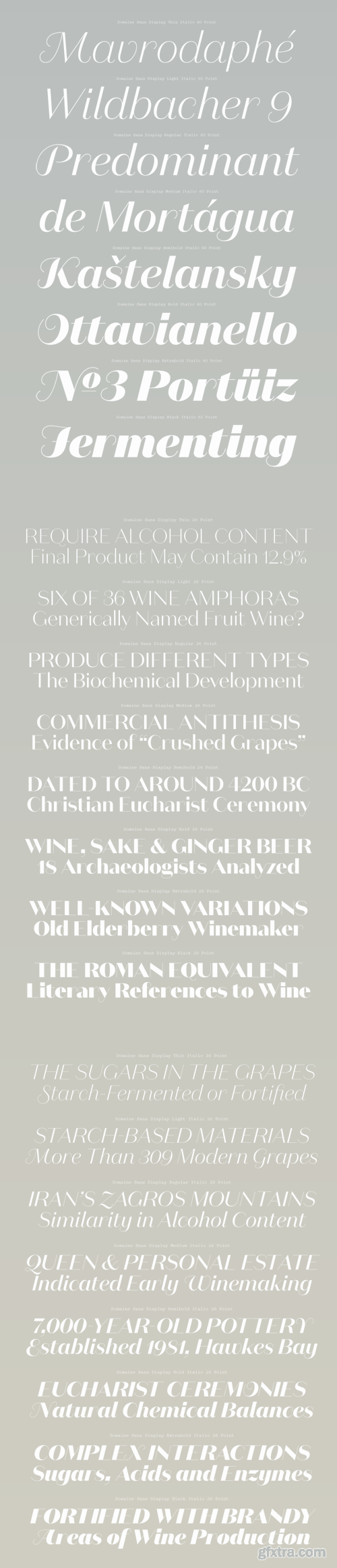 Domaine Sans Display Font Family