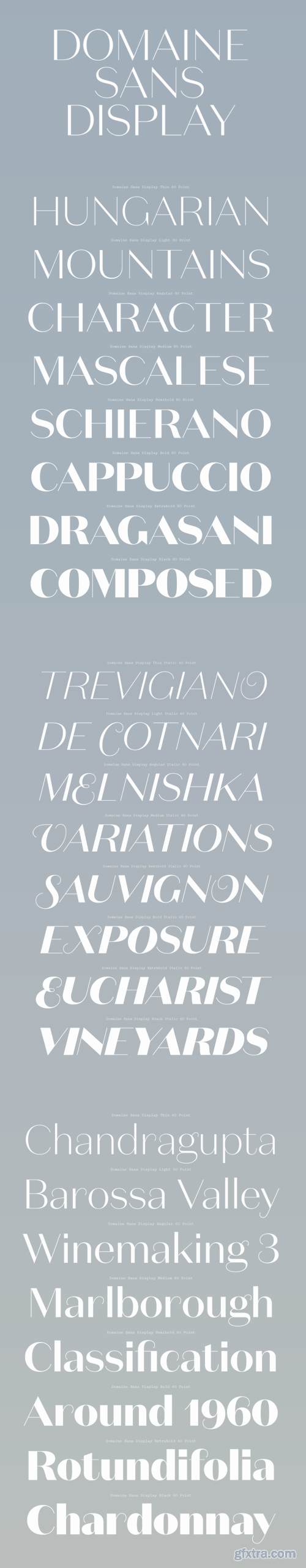 Domaine Sans Display Font Family