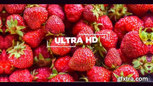 Videohive Slideshow 20508568