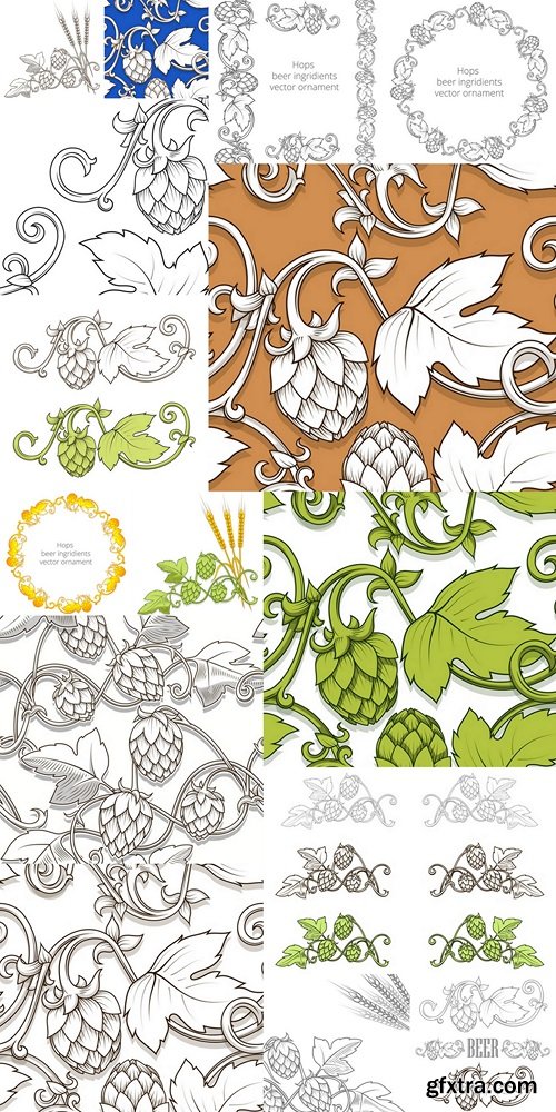 Hops and beer ornament vector illustration 2