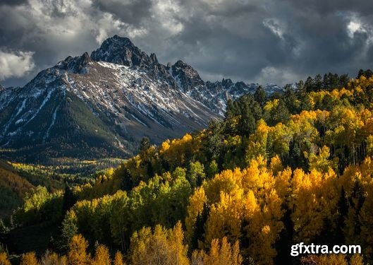 KelbyOne - Fall Photography Field Guide