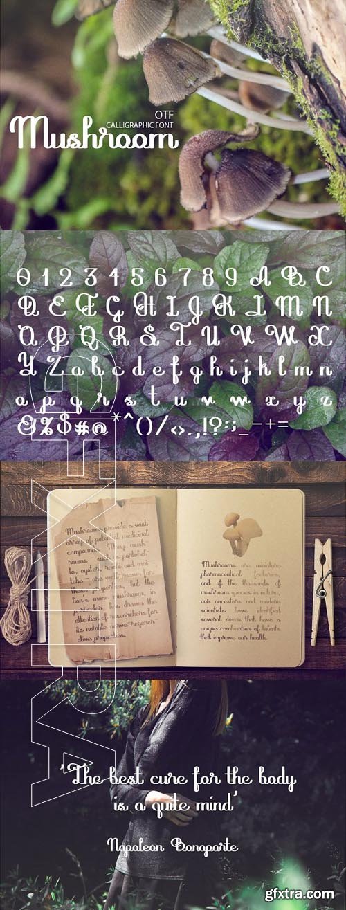 CreativeMarket - Mushroom font 1862990