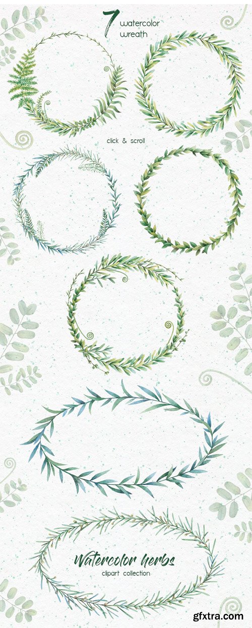 CM - Watercolor Herbs. Clipart Collection 1818264