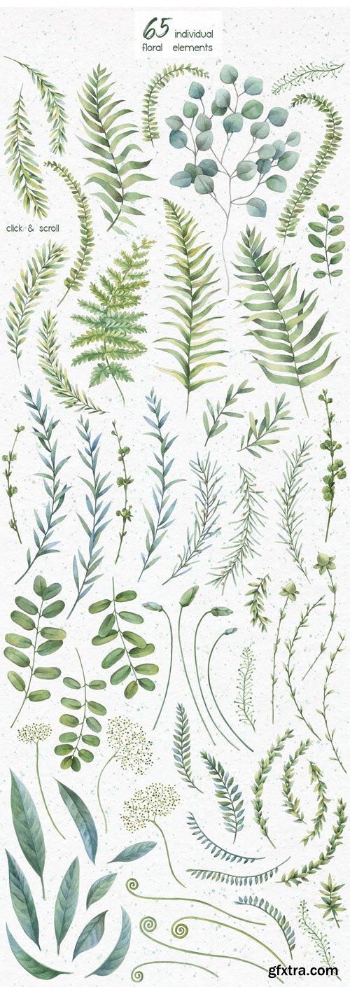 CM - Watercolor Herbs. Clipart Collection 1818264