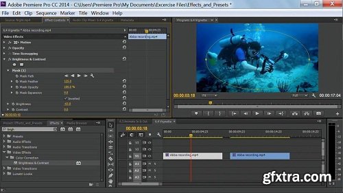 Premiere Pro Guru: Effects and Preset Management