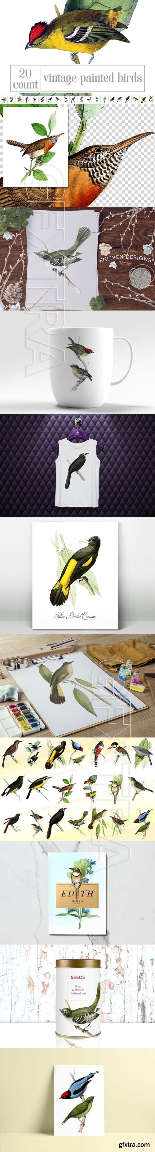 CreativeMarket - Vintage Birds Bundle 1862854