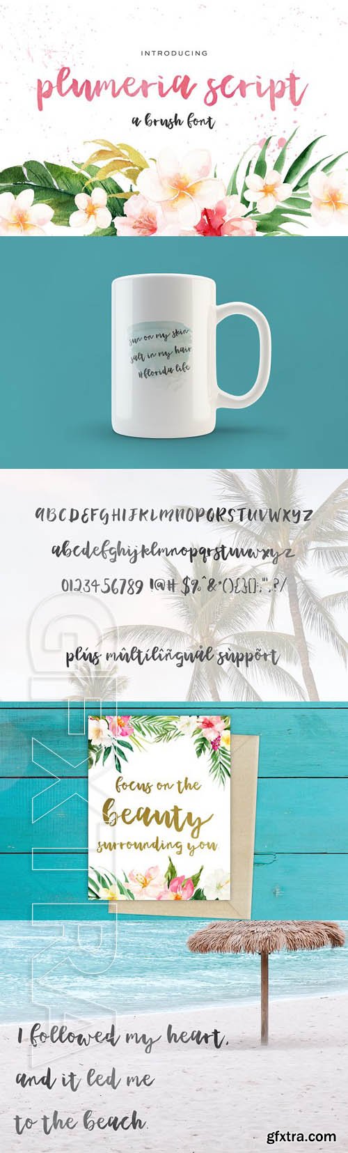 CreativeMarket - Plumeria Brush Script 1863043