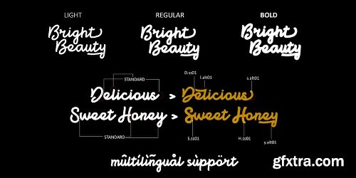 Bright Beauty Font Family - 3 Fonts