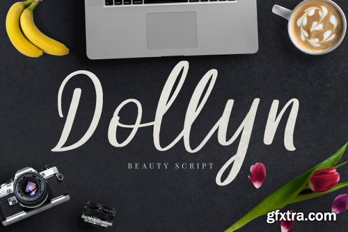 Dollyn Script