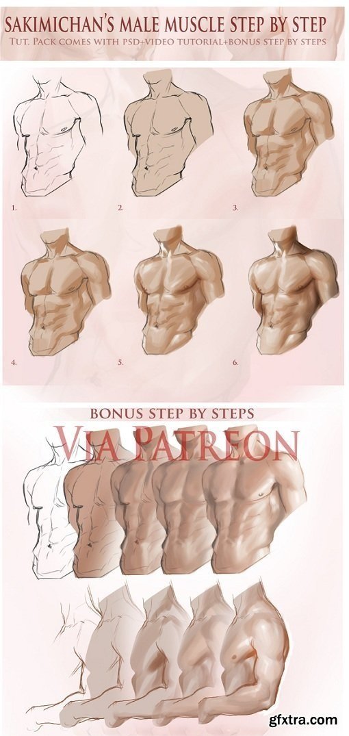 Gumroad - Male muscle step by step tutorial by Sakimichan