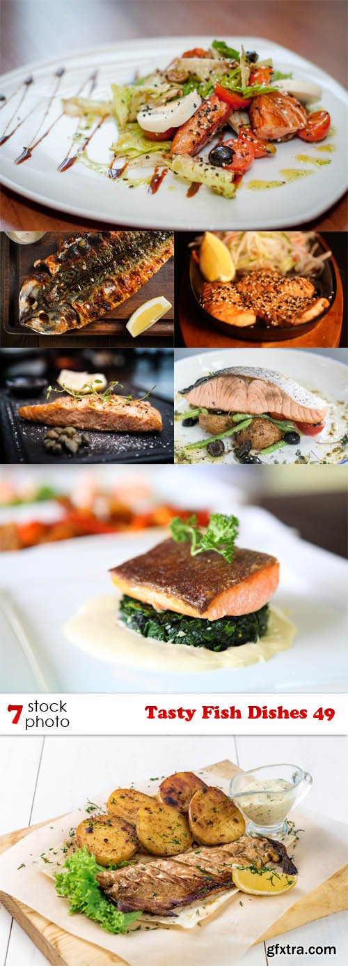 Photos - Tasty Fish Dishes 49