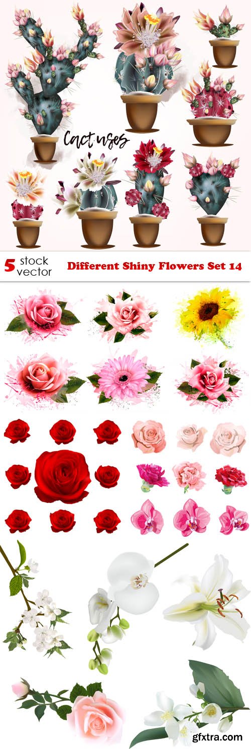 Vectors - Different Shiny Flowers Set 14