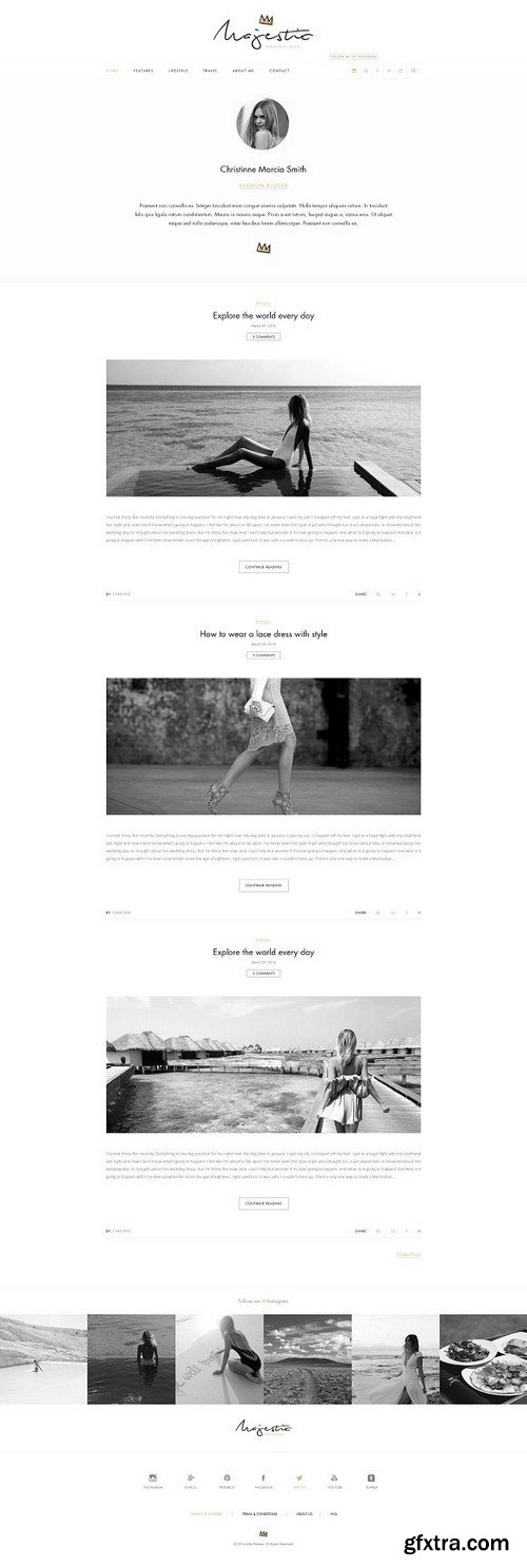 CM - Majestic-Premium Personal Blog PSD 1616563