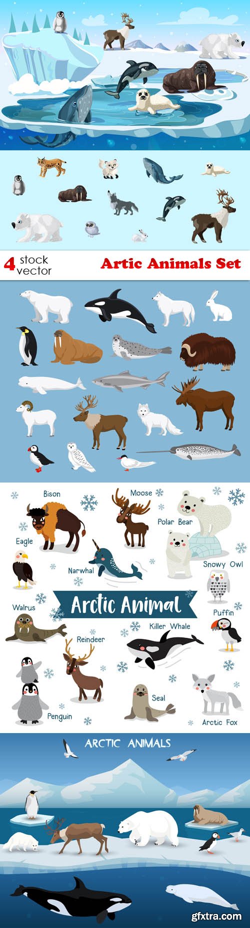 Vectors - Artic Animals Set