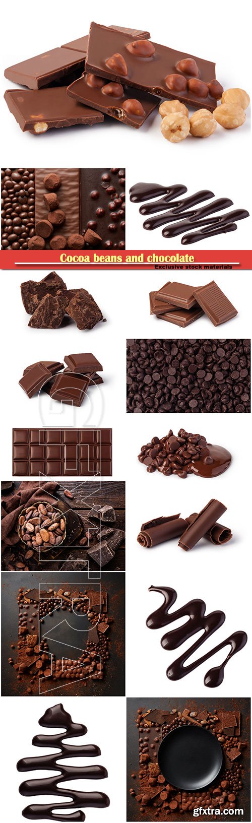 Cocoa beans and chocolate