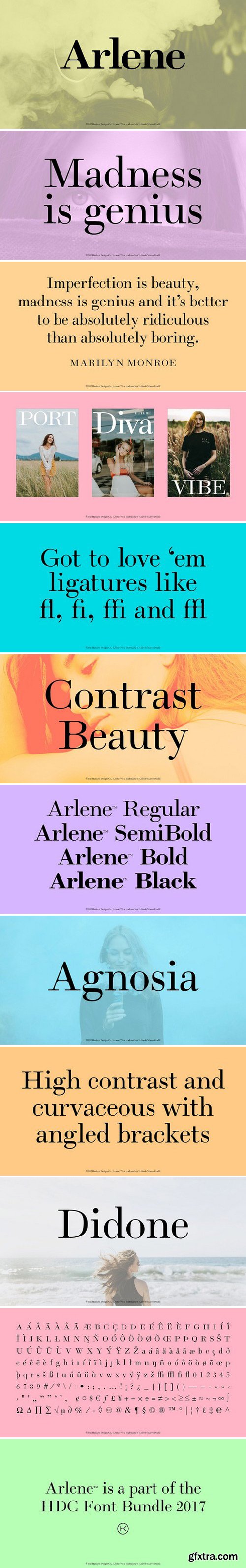 CM - Arlene Serif Font 1808976