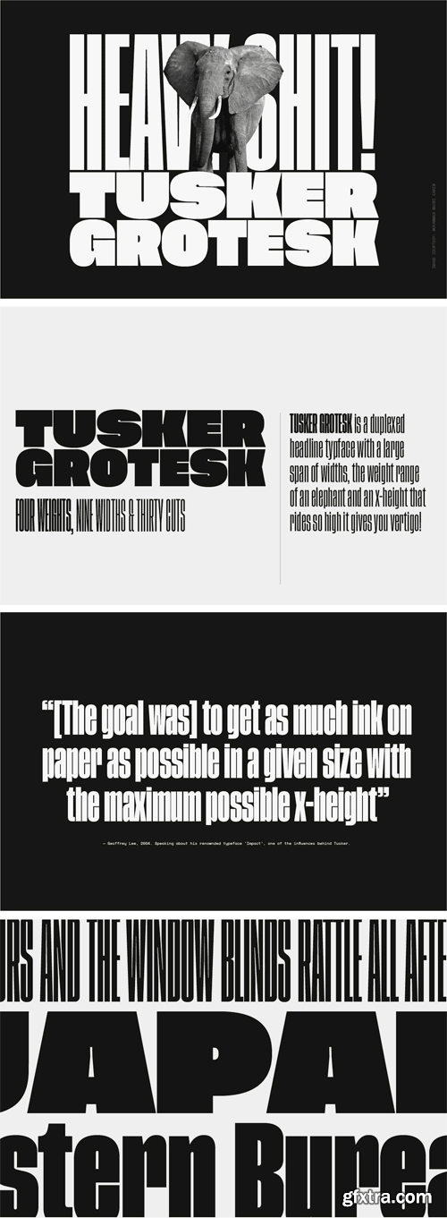 Tusker Grotesk Font Family (Incomplete)