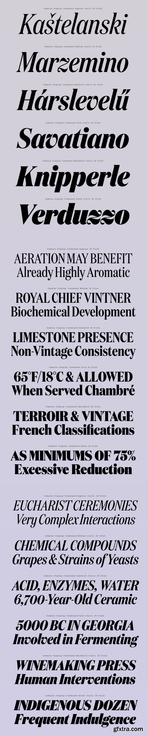 Domaine Display Condensed Font Family