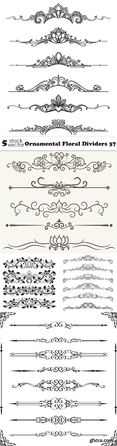 Vectors - Ornamental Floral Dividers 37