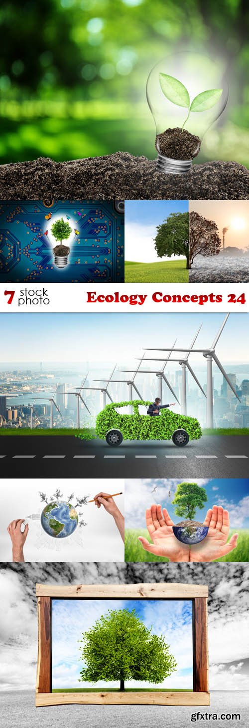 Photos - Ecology Concepts 24