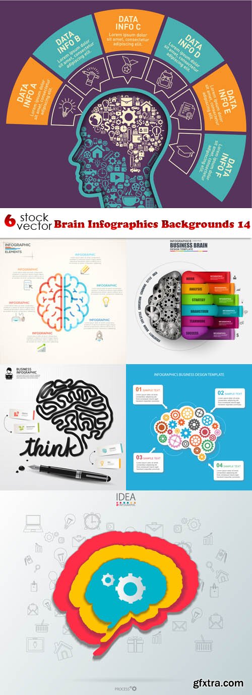 Vectors - Brain Infographics Backgrounds 14